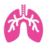 Lung icon