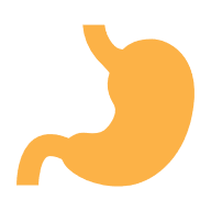 Stomach icon