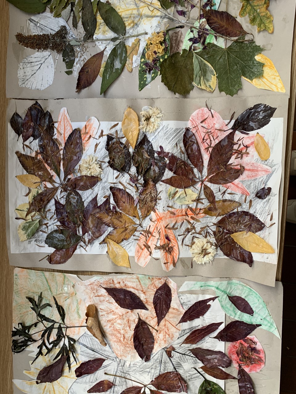 Group art piece of work consisting of leaves