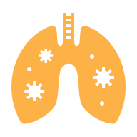 Lungs icon