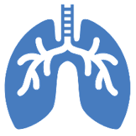 Lungs icon