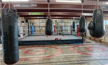 A boxing gym including a boxing ring and punch bags