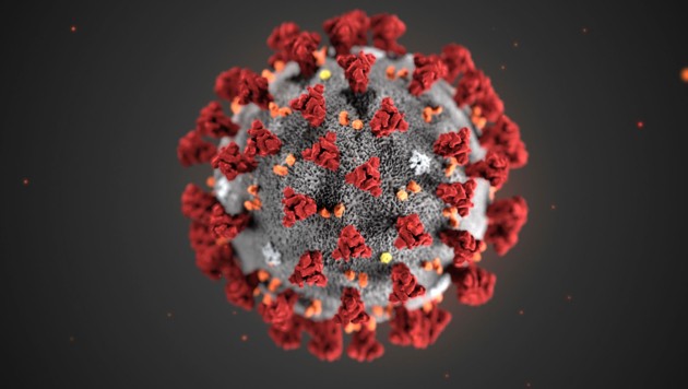 coronavirus