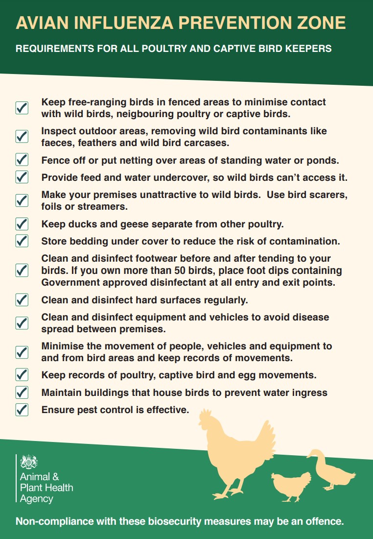 Avian Flu Precautions