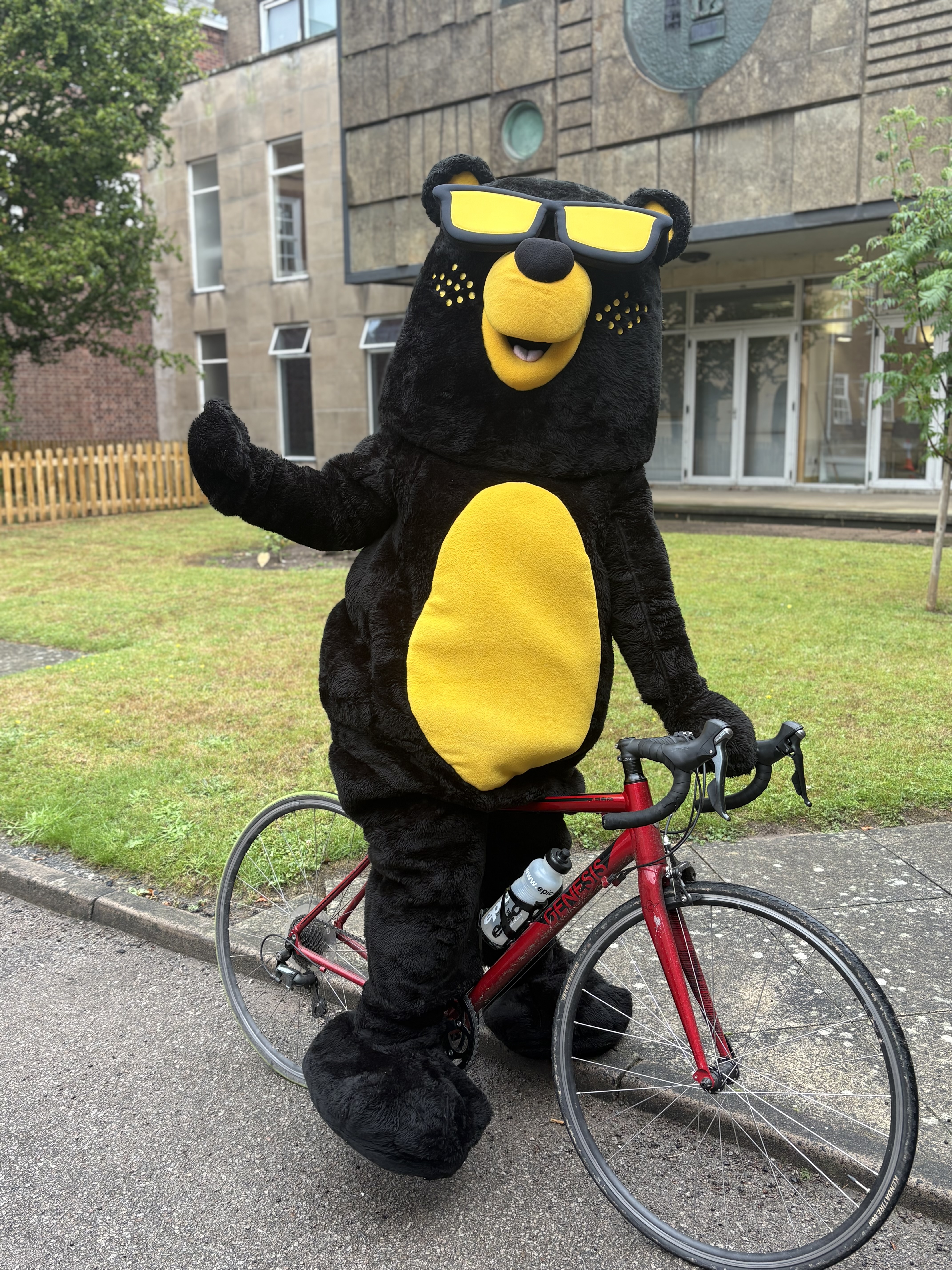 Warwickshire bear getting ready for Lloyds Tour of Britain Men&rsquo;s race.