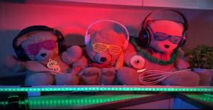 bears