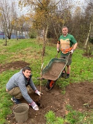 Green Shoots Community Climate Change Fund: Campion School Blossom Trees