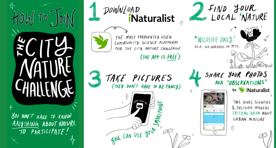 CityNatureChallenge2026