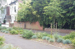 Community planting scheme, St. Mary&rsquo;s Crescent, Leamington Spa