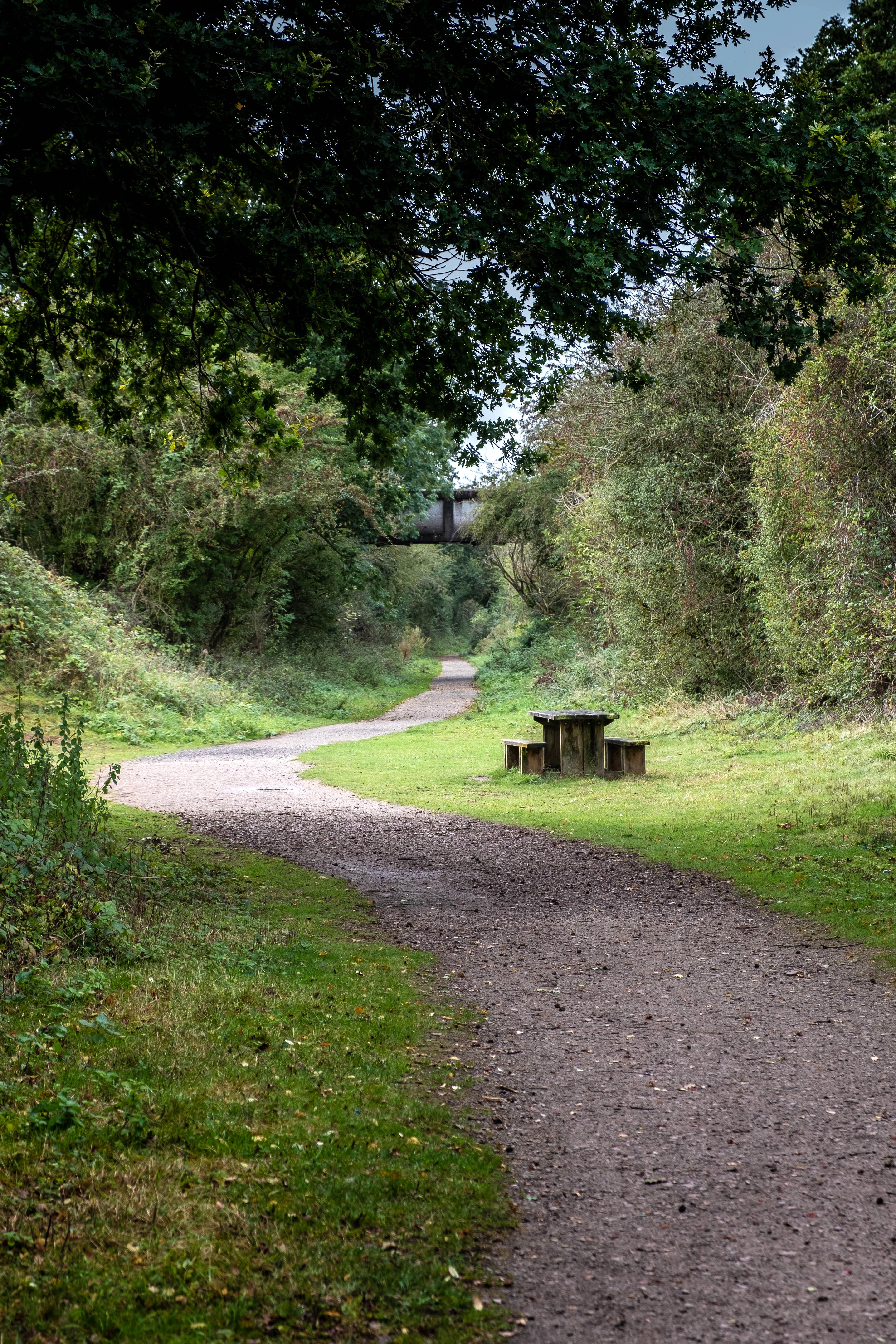 A pathway at Offchurch Greenway, surrounded by grass and trees in leaf. In the centre of the image is a wooden picnic bench.