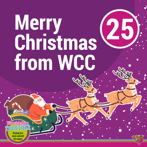 Father Christmas and sleigh