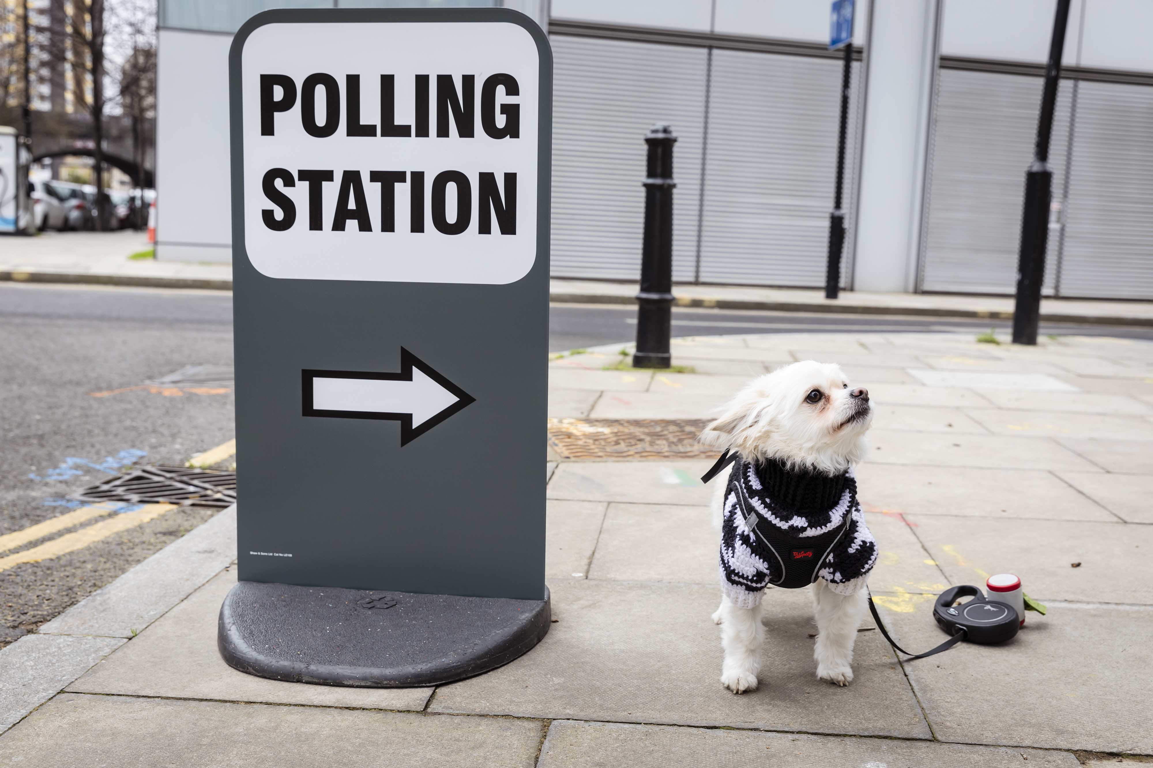 Local Elections