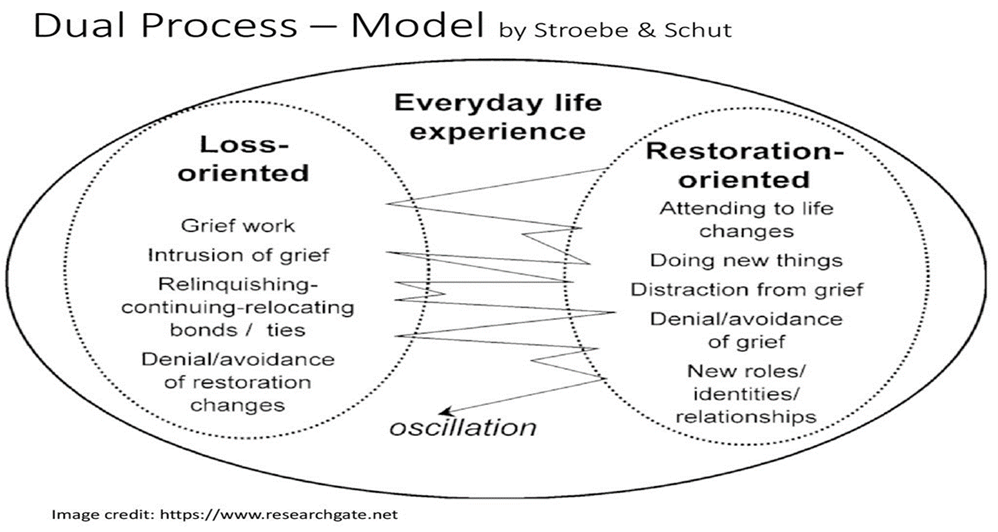 The dual process model of grief, proposes that individuals cope with loss by oscillating between two types of orientations: loss-oriented and restoration-oriented.This model acknowledges the dynamic and  individual nature of grief.