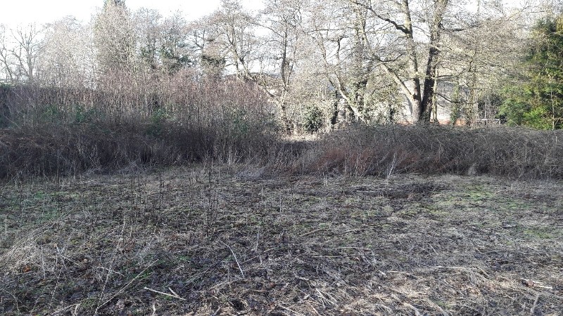 Flattened grass and scrub next to a small patch of trees before flood compensation work.