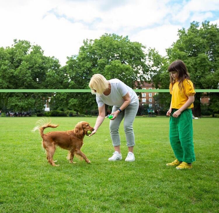 Two people play with their dog on a grass field