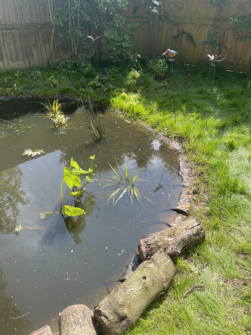 Educational minibeasts and aquatic biodiversity at Park Hill Junior School