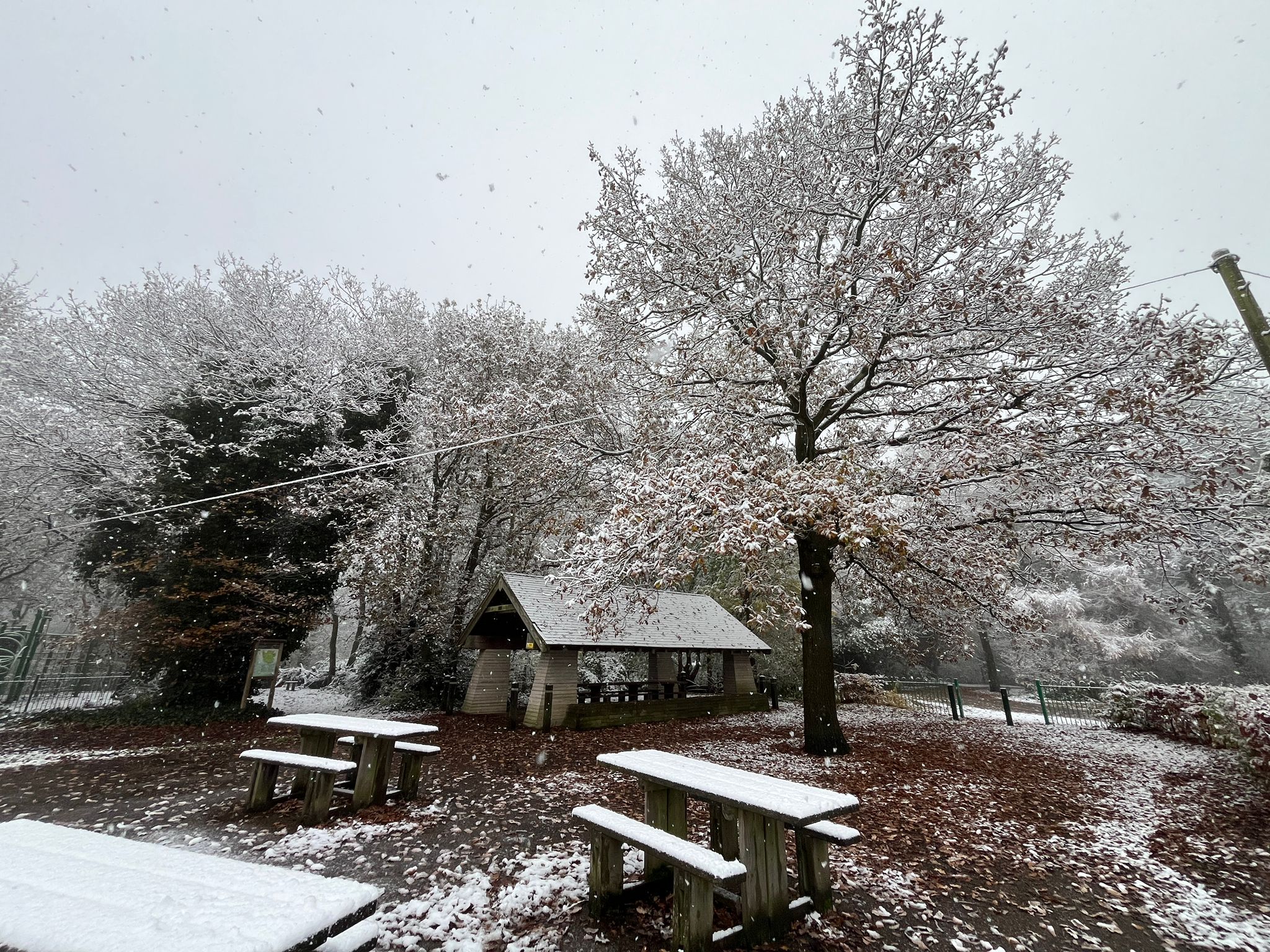 Hartshill Hayes Country Park (2)
