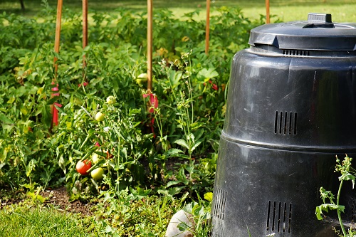 Come along to a home composting session this Spring