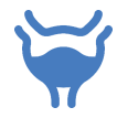 Stomach icon