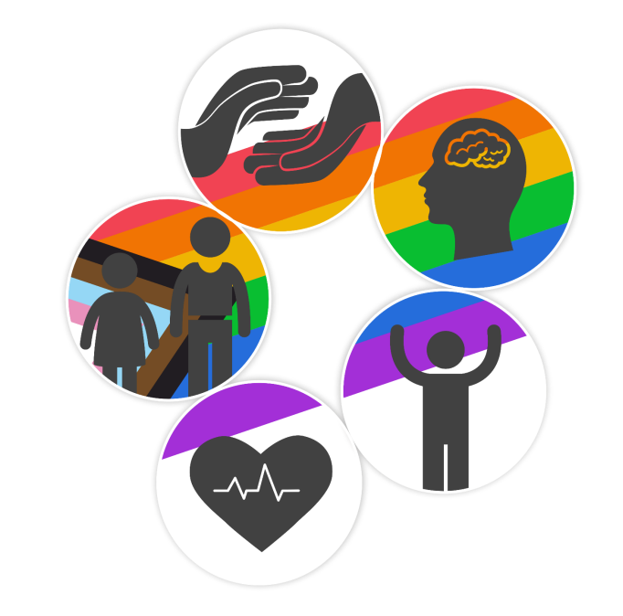 LGBT logo for JSNA