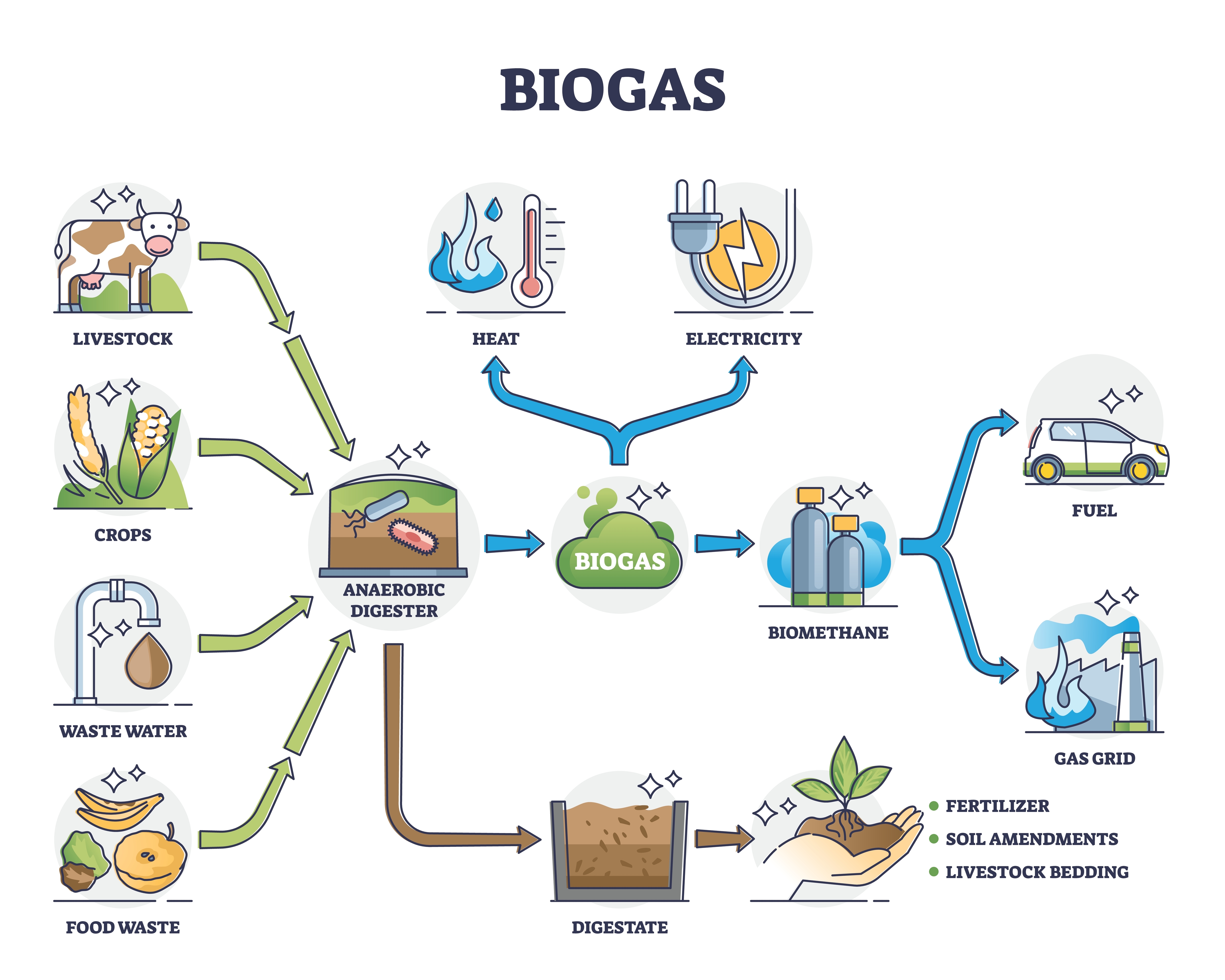 The Biogas extraction process