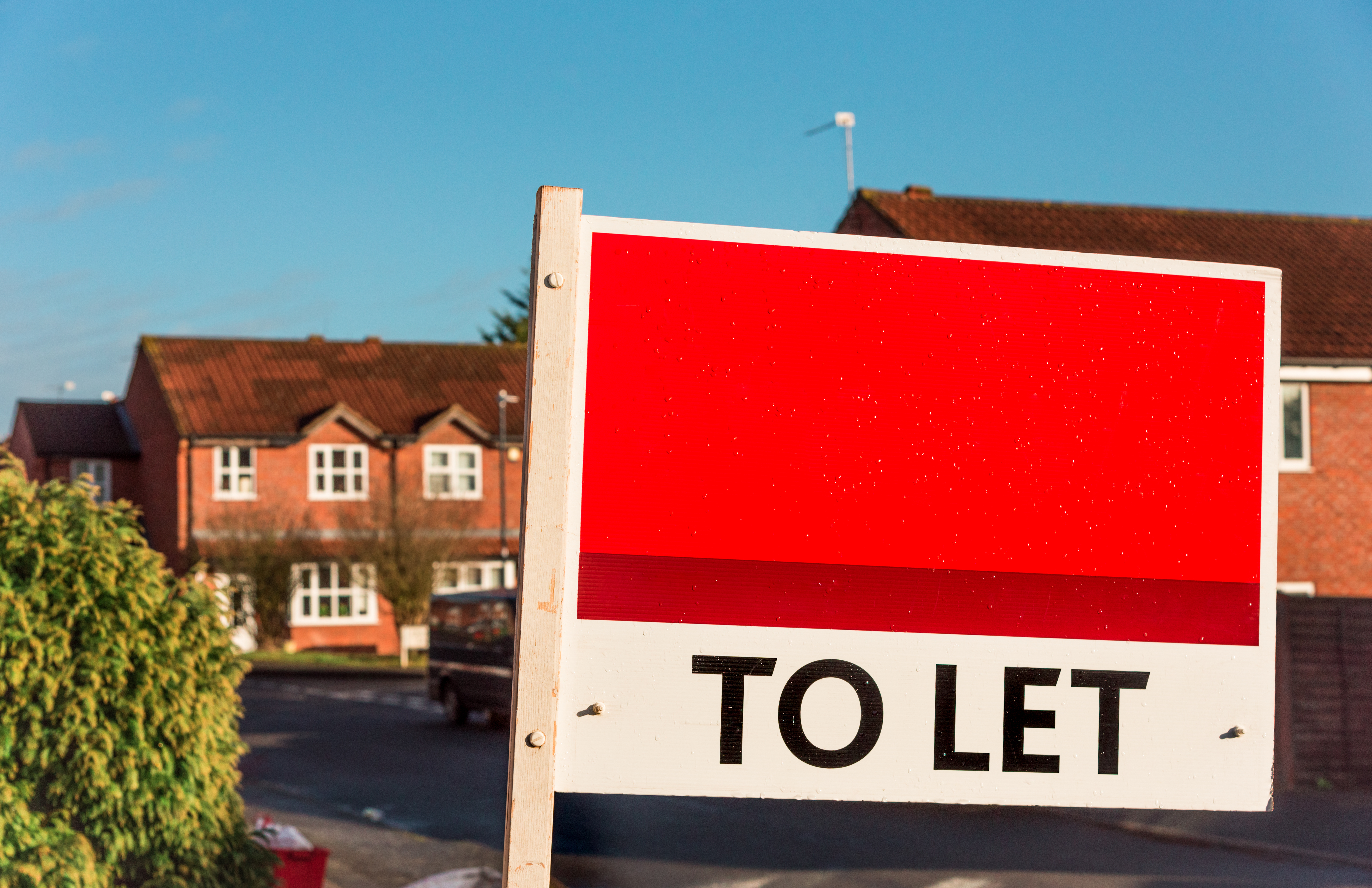 A To Let sign with house in background