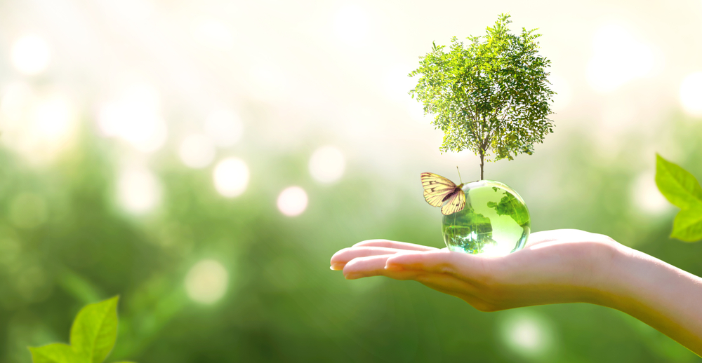 Picture of a hand holding a miniature planet earth with a small tree growing out of it