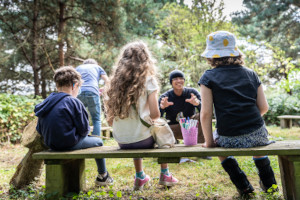 Npo picnic table