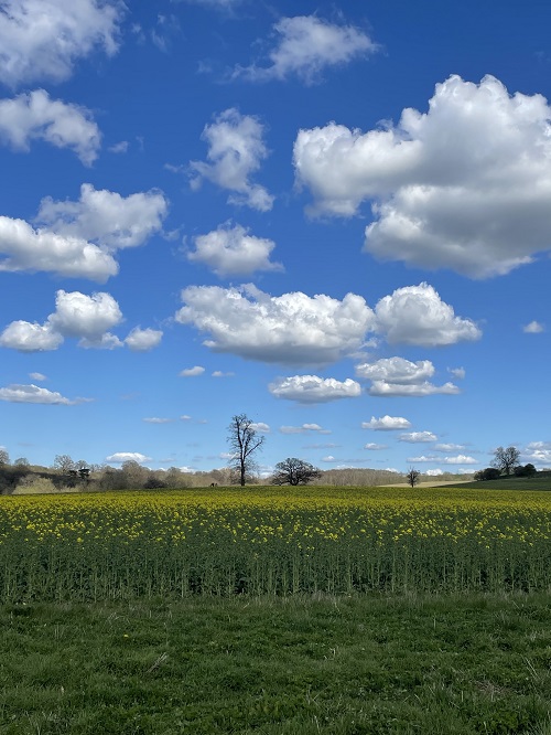 Giving Warwickshire’s natural world helping hands to recover