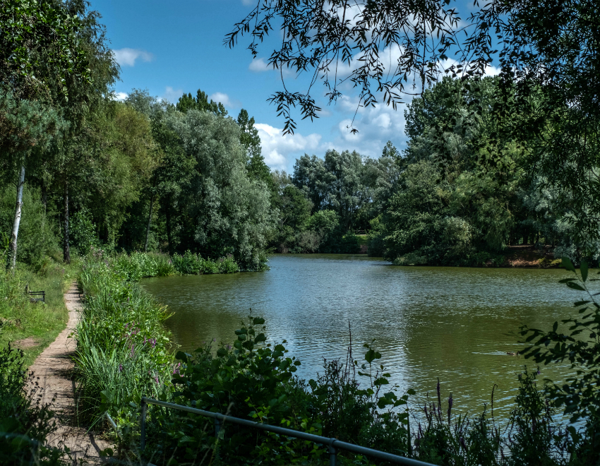 Ryton Country Park
