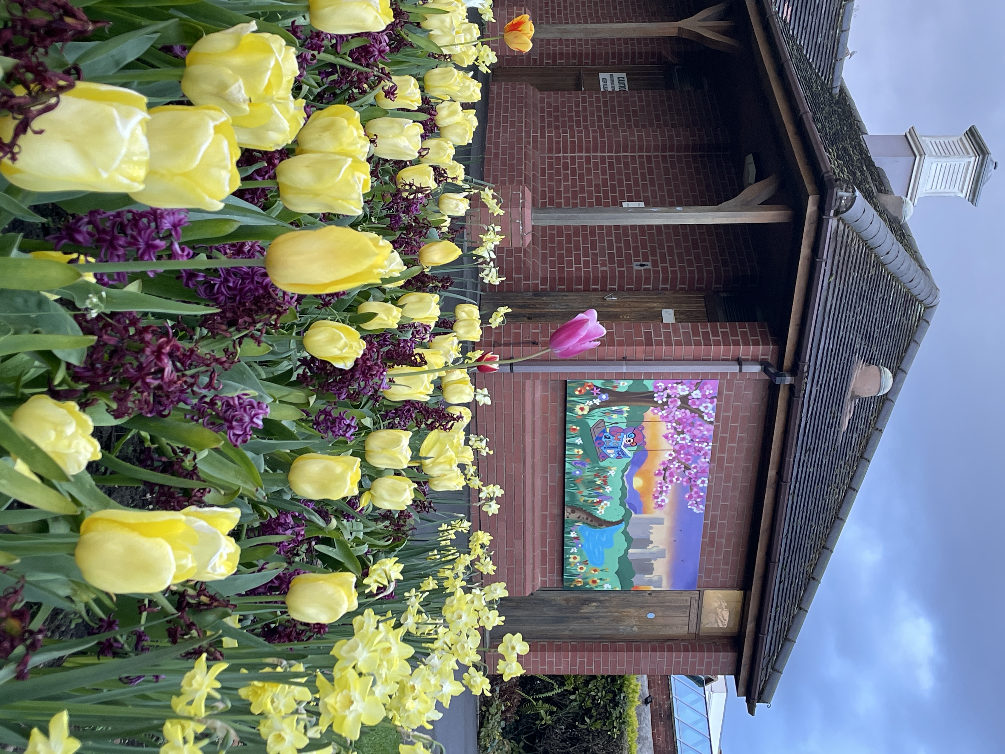 Blank Canvas mural in Pageant Gardens