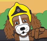 National Pet Fire Safety Day