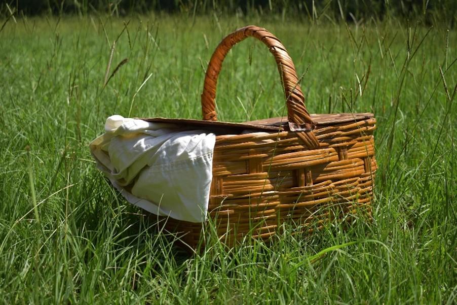 Waste free picnic image