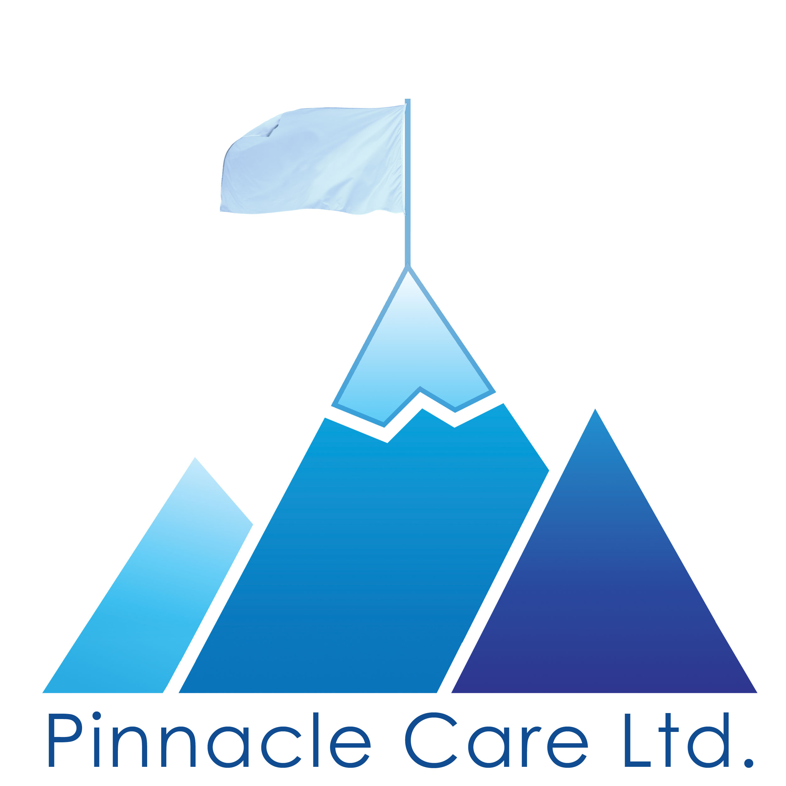 Pinnacle logo