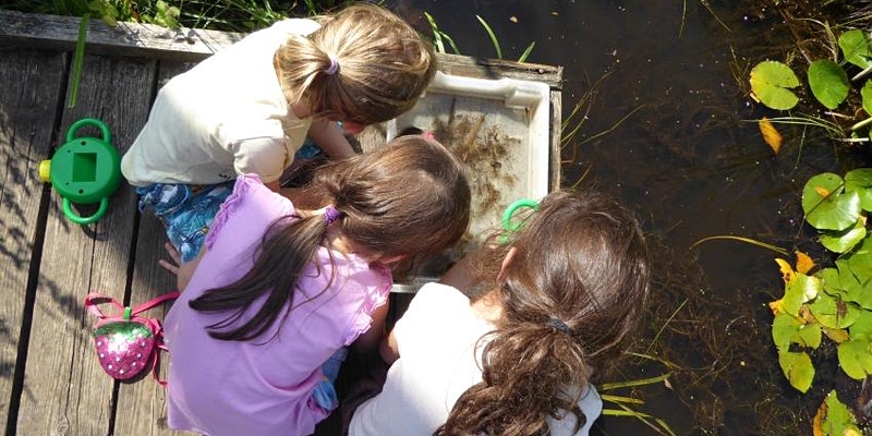 Three children search for aquatic creatures in a pond which is covered by several Lily pods