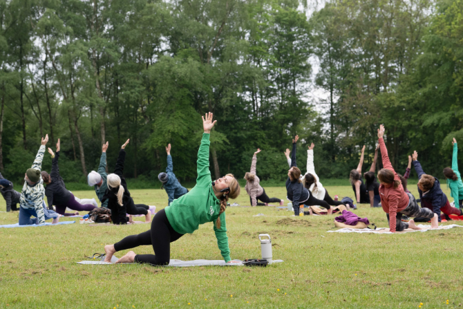 A group of people doing yoga in a park amongst trees