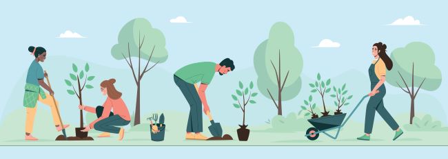 Graphic of a group of volunteers planting trees