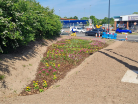 Raingarden