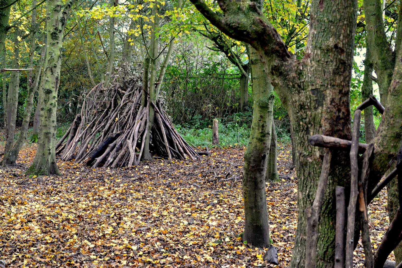 Ryton Pools Country Park