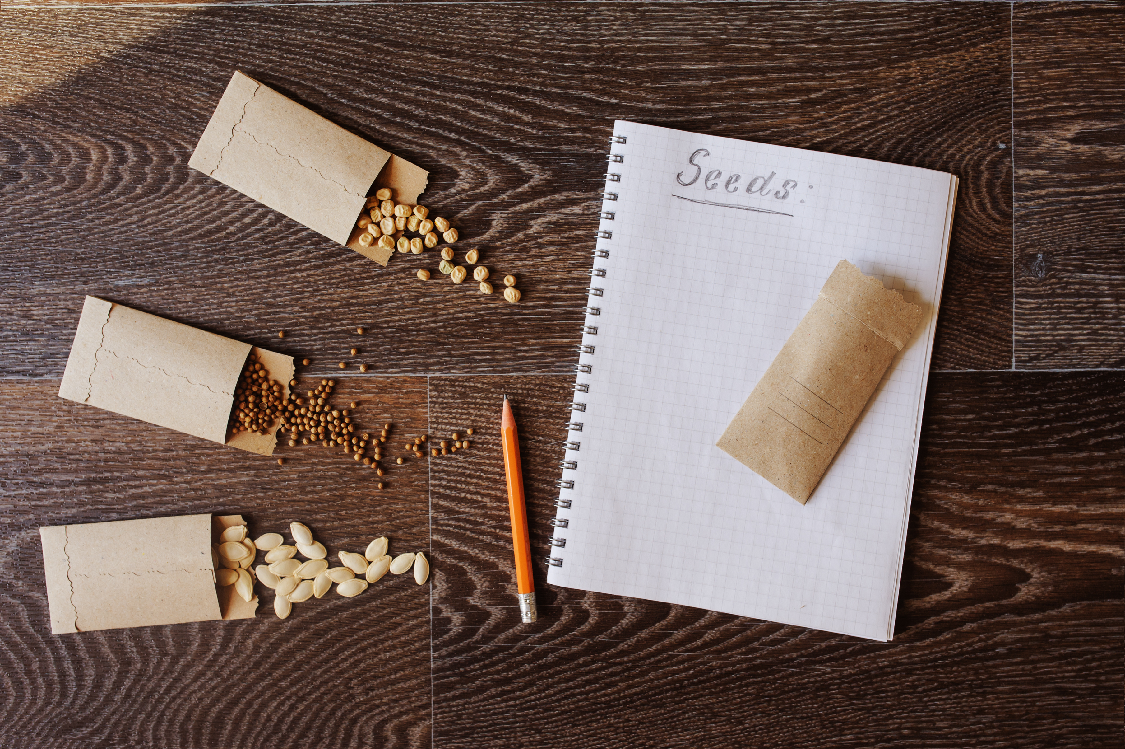 Packets of seeds on a table.