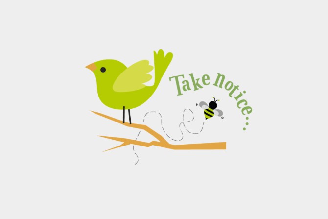 A green bird with yellow wings on a branch which has the words take notice on it