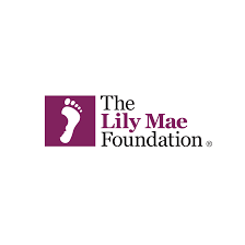 The Lily Mae Foundation charity logo