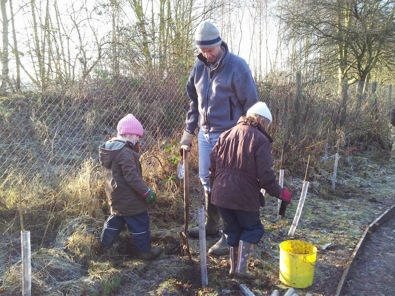 Tree Planting at Foundry Wood 2012_2