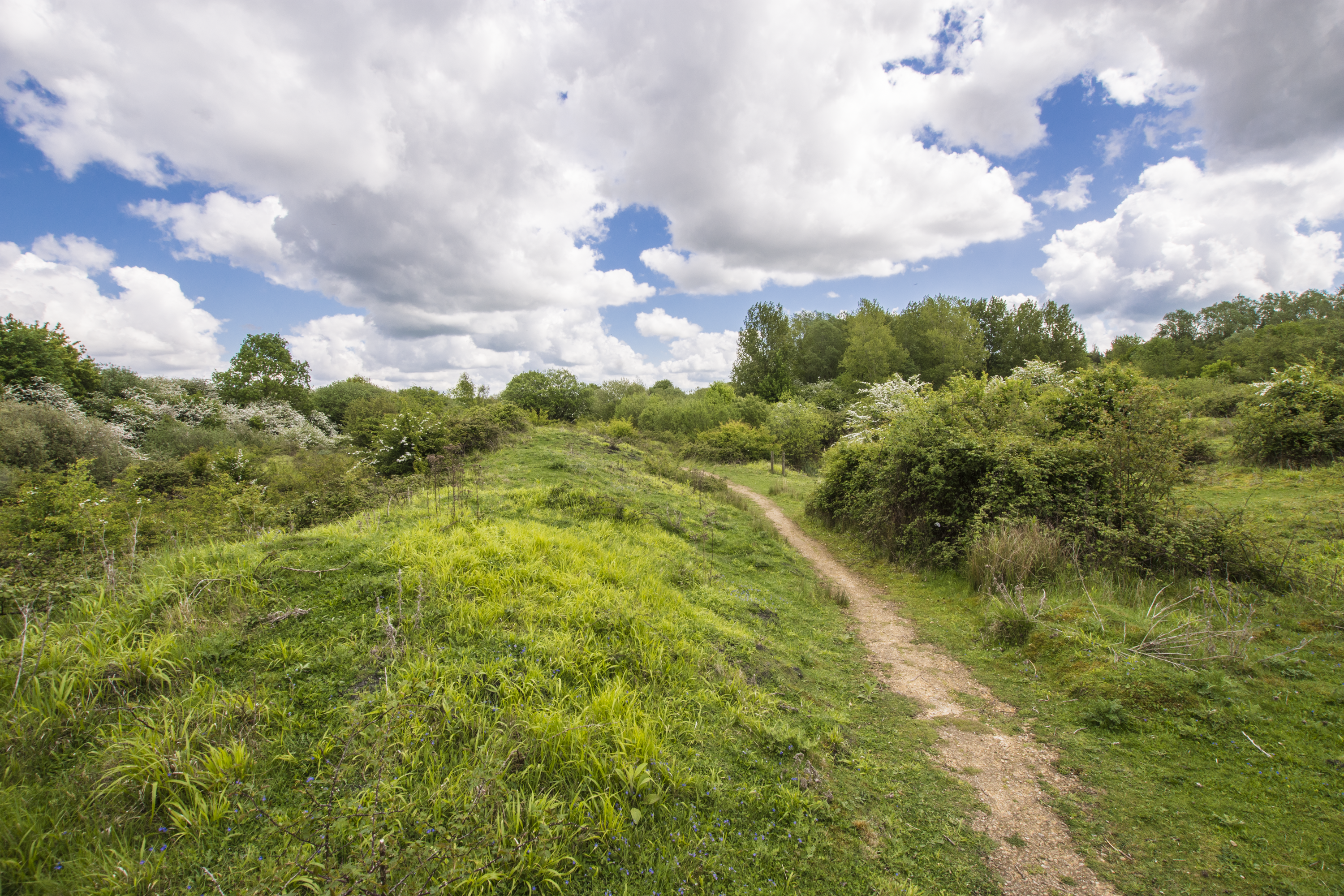 A photograph of Ufton Fields Nature Reserve, showing grassy hills with a cloudy blue sky
