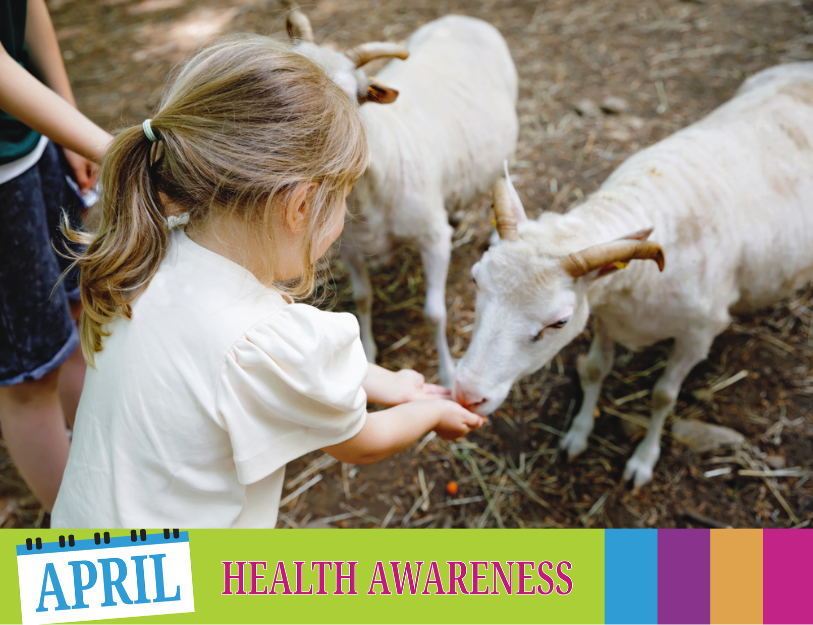 Image of a young girl feeding a lamb