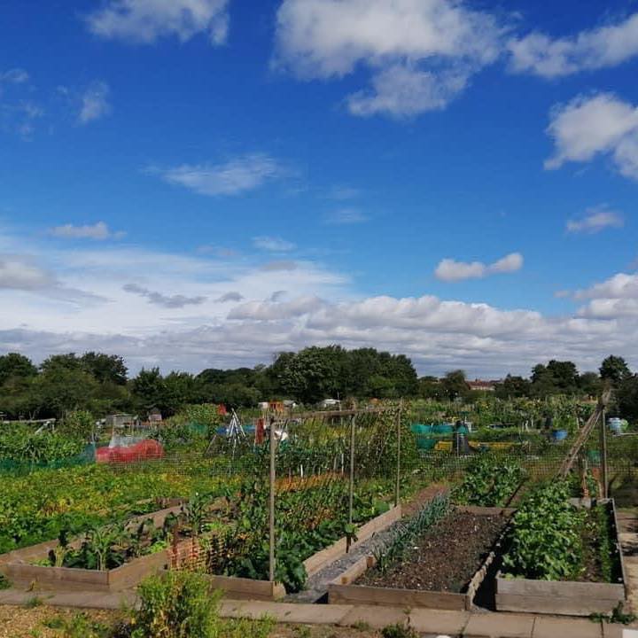 Green Shoots Community 
Climate Change Fund:
Weddington Allotments Climate 
Change Resilience Project