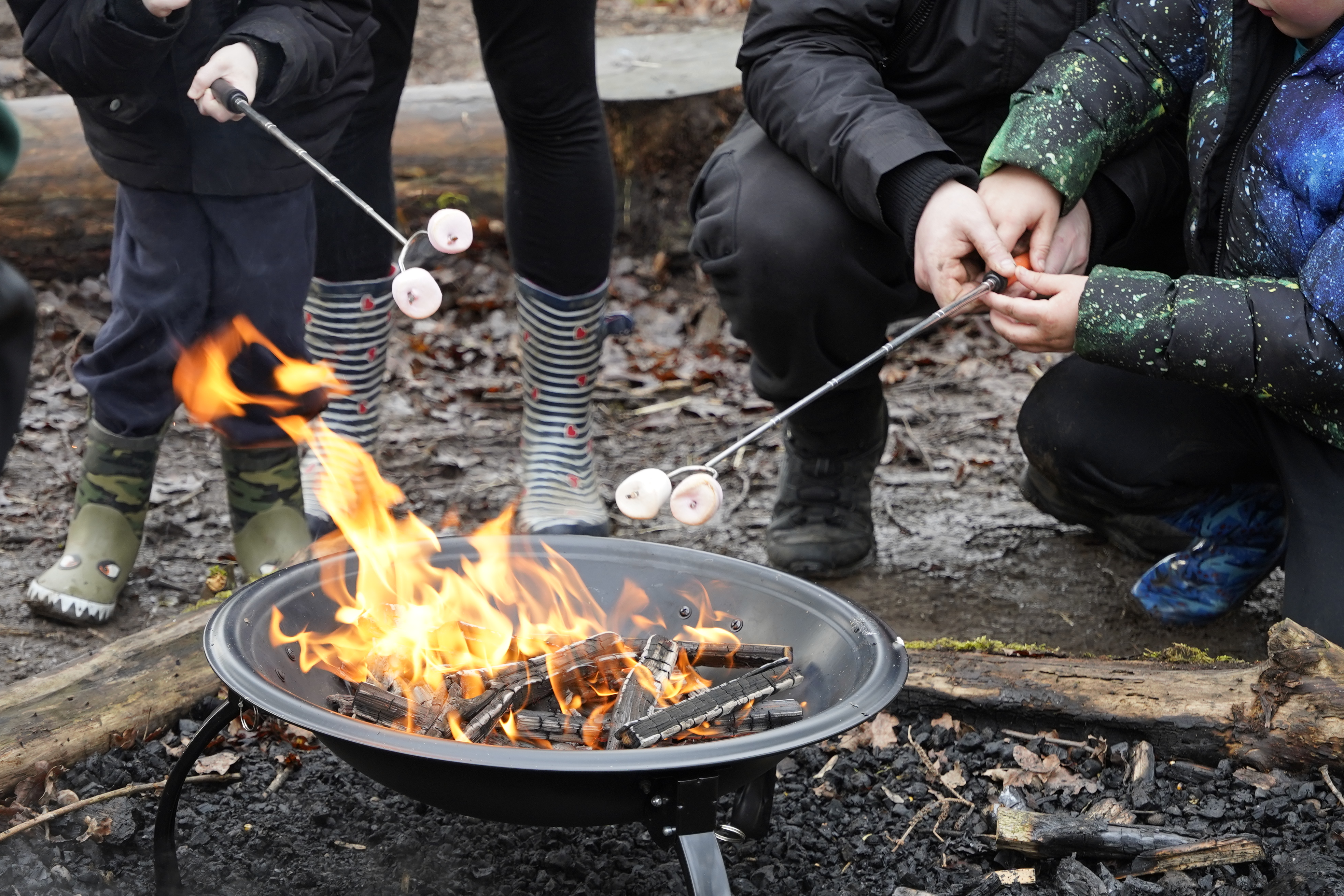 February Half Term Activities 2026