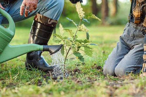 Green Shoots Community Climate Change Fund: #TeamWilder in North Warwickshire