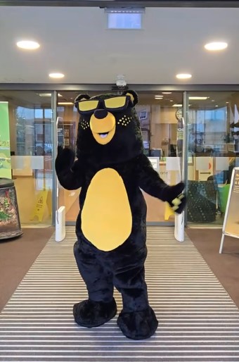 cfbear