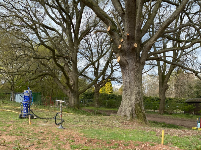 Root cutting of retained trees